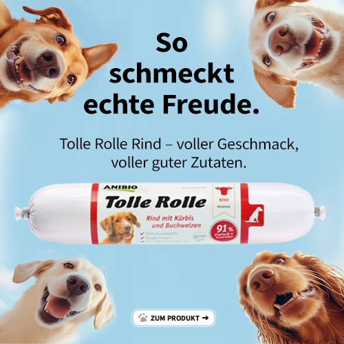 Zum Produkt Tolle Rolle Rind
