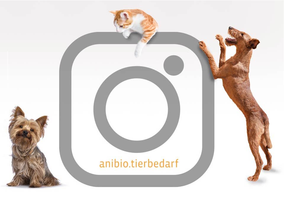 ANBIO bei Instagram