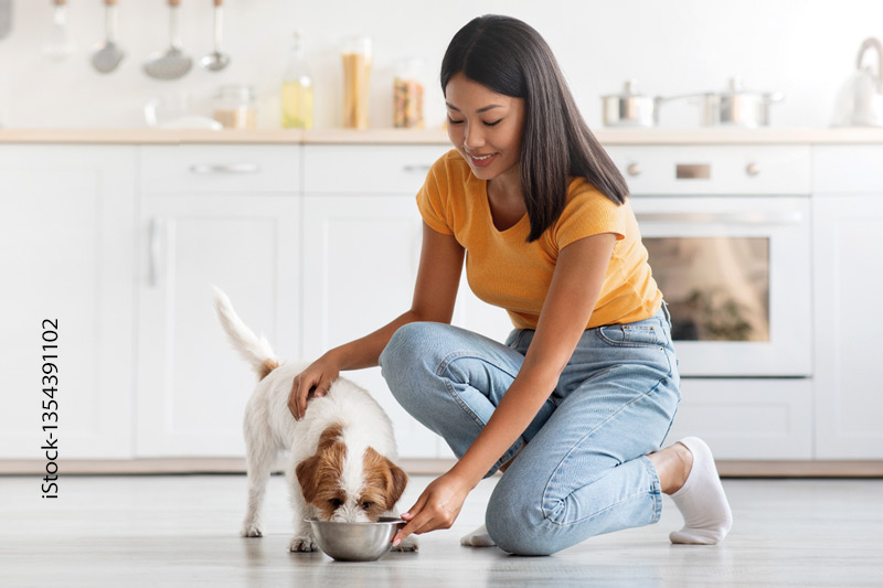 ANIBIO Tolle Rolle - so erkenne ich hochwertiges Hundefutter