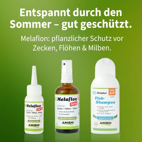 Melaflon - der Schutz vor Zecken, Flöhen und Milben