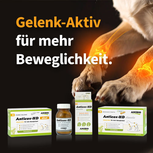 Anitox HD Gelenk-Aktiv für mehr Beweglichkeit