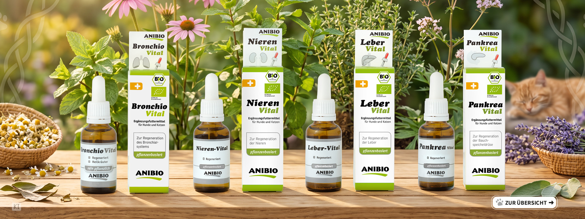 Leber, Niere, Pankrea unc Bronchio-Vital