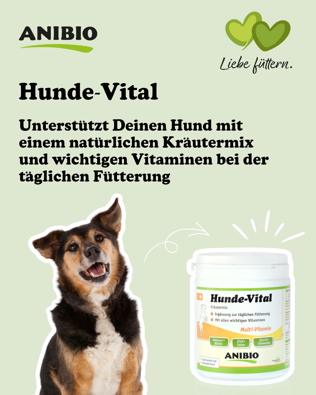 Volle Vitalität für Hund und Katze! 🛡️✨ Eine ausgewogene Versorgung mit allen wichtigen Nährstoffen ist die Basis für ein langes, aktives Leben. Mit unserem Hunde- und Katze-Vital schenkst Du Deinen Lieblingen genau die tägliche Unterstützung, die sie für mehr Energie und Wohlbefinden brauchen. Die Vorteile auf einen Blick: 🐶 Hunde-Vital: Unterstützt Deinen Hund mit einem natürlichen Kräutermix und wichtigen Vitaminen bei der täglichen Fütterung 🐈Katze-Vital: Liefert Deiner Katze lebenswichtiges Taurin für Herz und Sehkraft sowie wertvolle Vitamine für ein glänzendes Fell 🐾 Rein natürliche Inhaltsstoffe ohne Konservierungs oder Aromastoffe 🐾 Kinderleichte Dosierung über das gewohnte Futter Schenke Deinem Hund und Deiner Katze die perfekte Basis für ein gesundes und vitales Leben. 👉 Entdecke beide Produkte jetzt auf www.anibio.de #hund #katze #tiergesundheit #ergänzungsfutter #gesunderhund #gesundekatze #barfen
