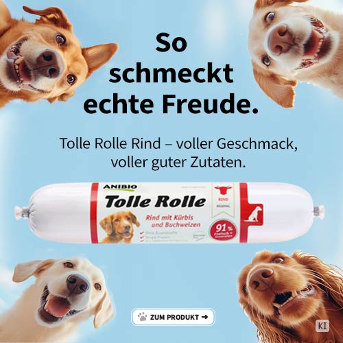 Zum Produkt Tolle Rolle Rind