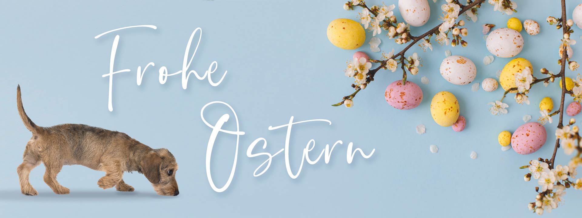 Wir wünschen Ihnen ein frohes Osterfest