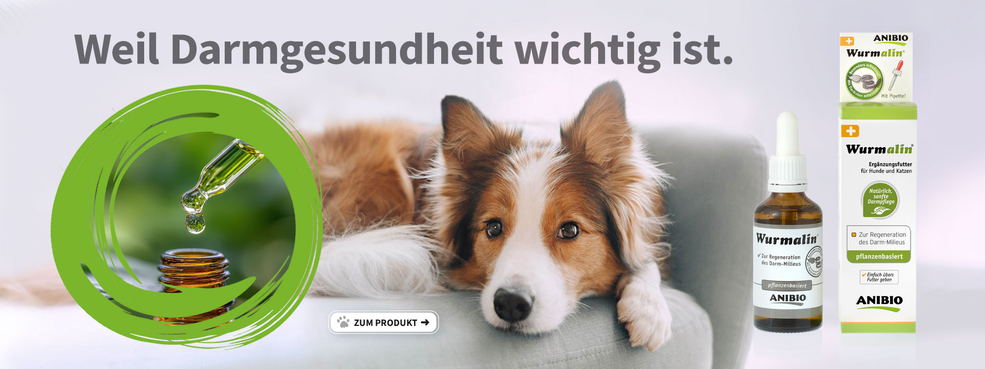 Wurmalin für das Darm-Milieu