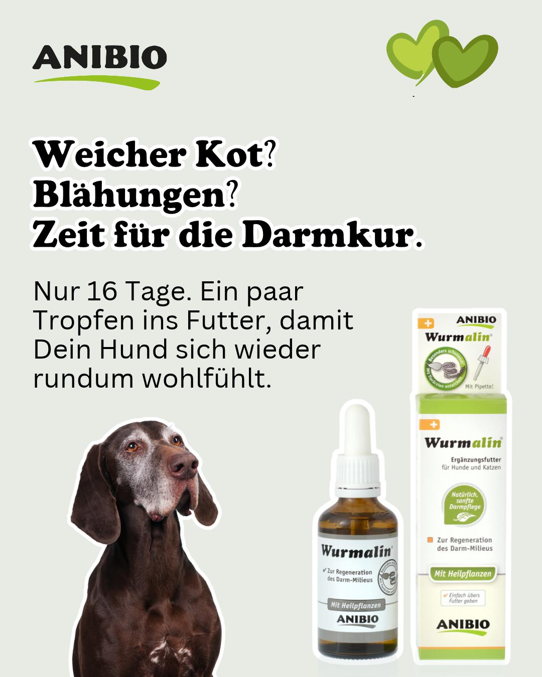 18013694768974150 Dein Hund hatte einen anstrengenden Sommer? Jetzt ist die beste Zeit für eine Darmkur 🍂🐾 Der Herbst ist einer der besten Momente im Jahr, um den Darm Deines Hundes von innen zu unterstützen. Mit Wurmalin schaffst Du auf natürliche Weise ein Milieu, in dem sich Dein Hund einfach wohlfühlt. 🌿 Rein pflanzliche Inhaltsstoffe wie Thymian, Kamille und Fenchel 🌿 Unterstützt gezielt ein gesundes Darm-Milieu 🌿 Ganz einfache Anwendung über nur 16 Tage 🌿 Empfohlen 3 bis 4 Mal im Jahr, der Herbst ist ein idealer Zeitpunkt dafür So unterstützt Du die Verdauung Deines Hundes jetzt ganz natürlich, ohne Chemie. 👉 Jetzt Wurmalin entdecken und die Herbstkur starten. #wurmalin #hundegesundheit #darmgesundheit #natürlichepflege #anibio
