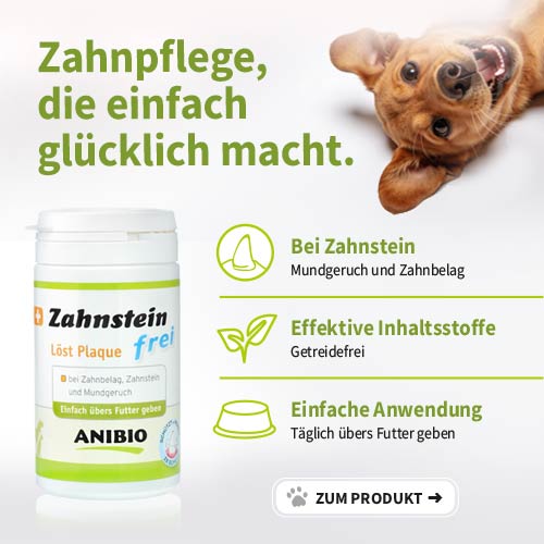Zahnstein-frei, die sanfte Zahnp0flege