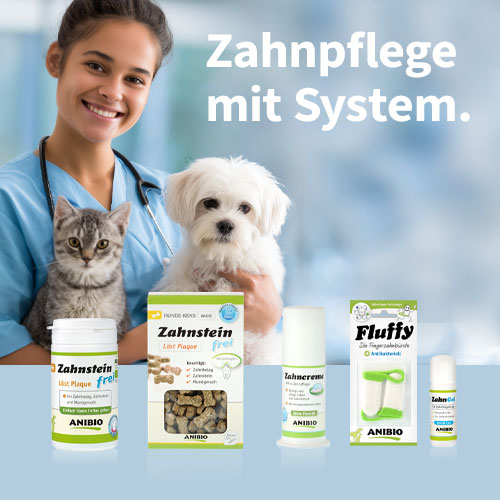 Zur ANIBIO Zahnpflege mit System