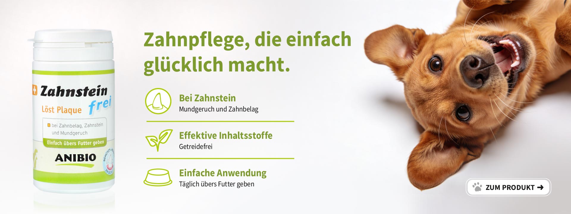 Zahnstein-frei, die sanfte Zahnp0flege