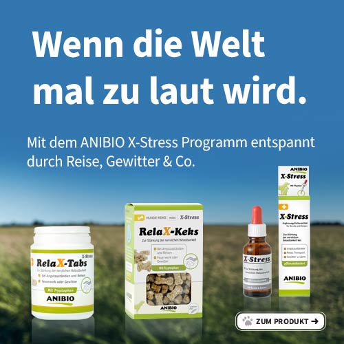 Die X-Stress Familie für ihren Urlaub