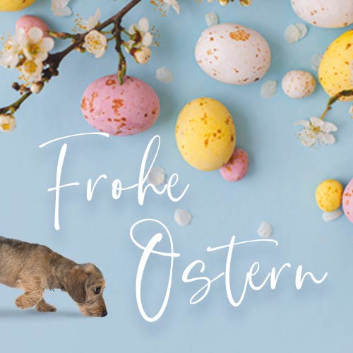 Wir wünschen Ihnen frohe Ostern