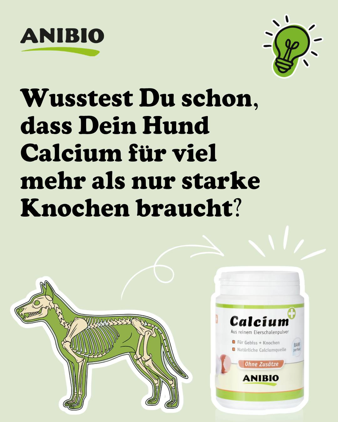 Wusstest Du schon, dass Dein Hund Calcium für viel mehr als nur starke Knochen braucht? 🐾 Es ist faszinierend, was dieser Mineralstoff alles leistet: Calcium sorgt nicht nur für ein stabiles Skelett und feste Zähne, sondern ist auch der Motor für das Herz und die Muskeln von Deinem Hund. Ohne ausreichend Calcium könnten die Nerven Signale nicht richtig übertragen und das Blut nicht gesund gerinnen. ✨ Da Fleisch allein oft zu wenig Calcium enthält, ist eine Ergänzung besonders wichtig, damit Dein Hund rundum geschützt ist. Mit dem Calcium von ANIBIO gibst Du Deinem Hund die Sicherheit, die Er für ein langes und unbeschwertes Leben an Deiner Seite braucht. ❤️ Schreib ANIBIO in die Kommentare und wir schicken Dir den Link direkt zu! 💌 #hund #hundegesundheit #hundetipps #hundeernährung