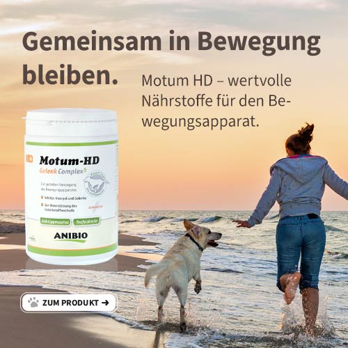 Motum HD für mehr Beweglichkeit