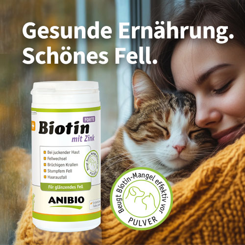 Biotin Forte mit Zink