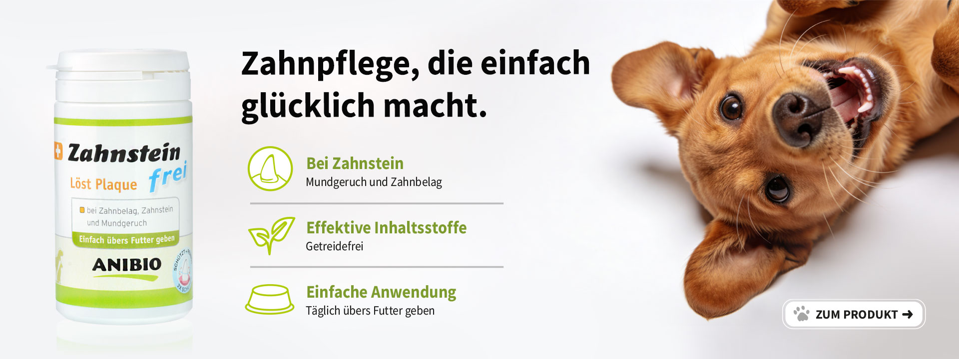 Zahnstein-frei, die sanfte Zahnp0flege