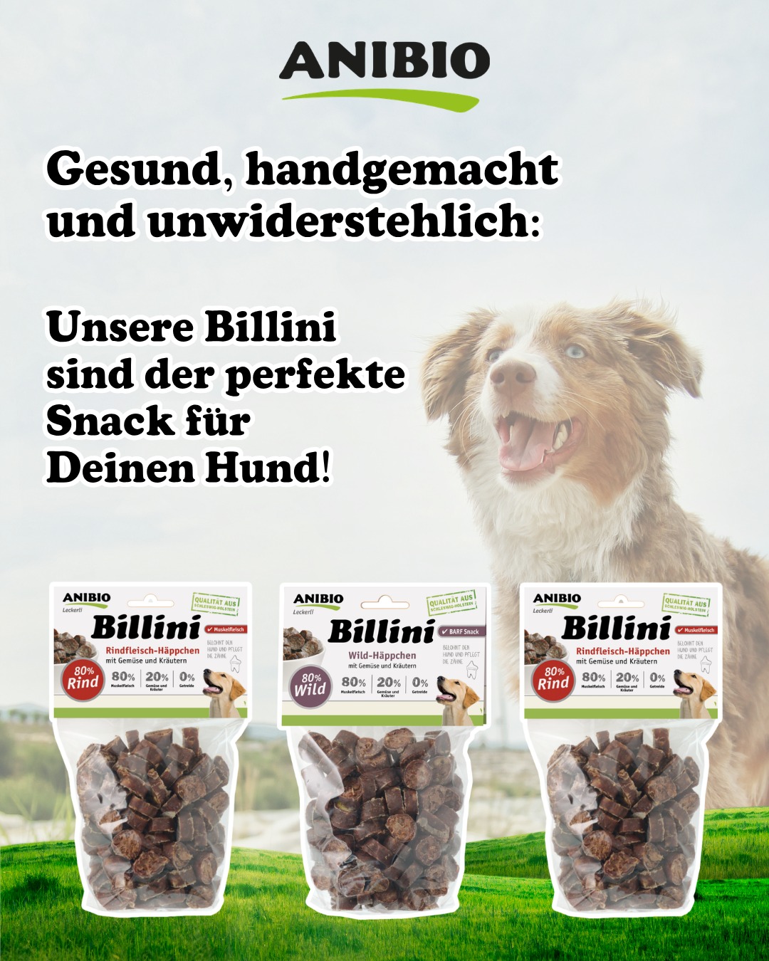 ANIBIO Billini Hundeleckerlies - Schwanzwedeln garantiert
