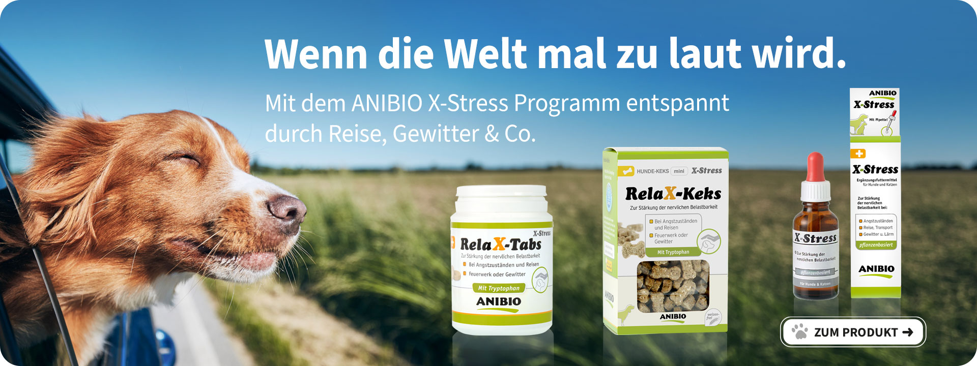 Die X-Stress Familie für ihren Urlaub