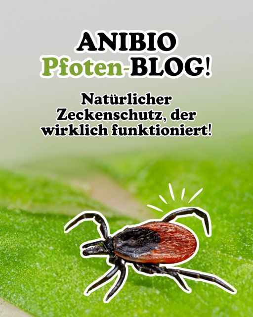 Natürlicher Zeckenschutz, der funktioniert!