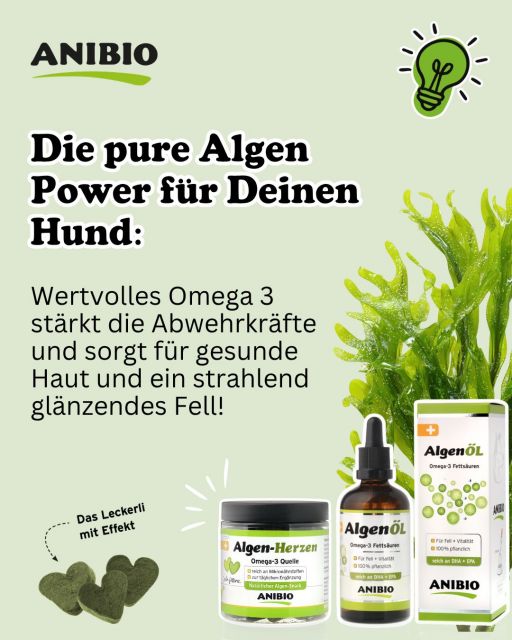 Algen- Power für Ihren Hund. Die ANIBIO Algen-Herzen