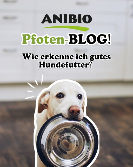 Wie erkenne ich gutes Hundefutter?