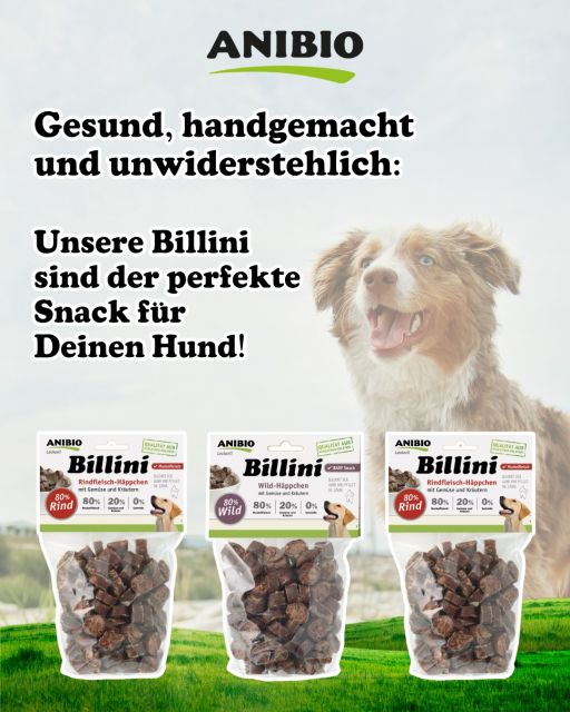 ANIBIO Billini Hundeleckerlies - Schwanzwedeln garantiert