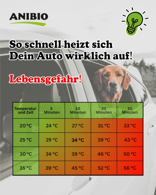 So schnell heizt sich ihr Auto wirklich auf!