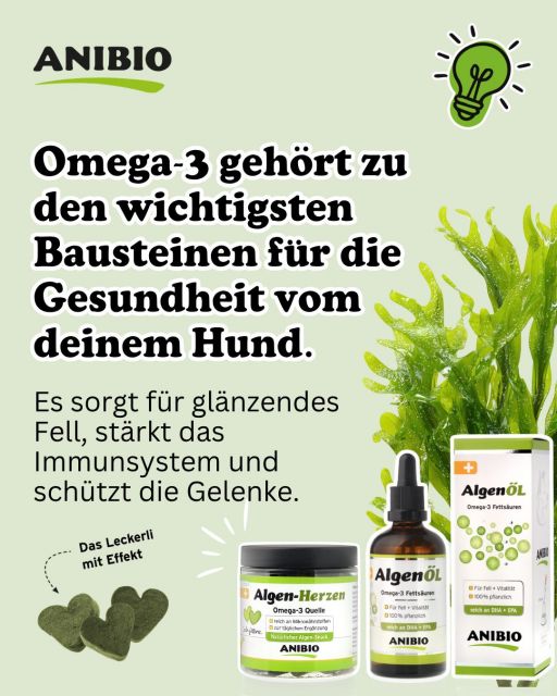 Omega 3 für die Gesundheit