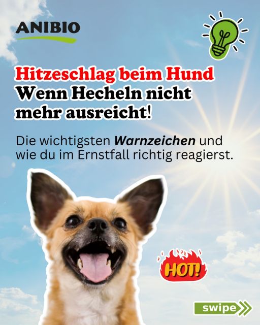 49af2c1b87101de3a1a72beedc311a67