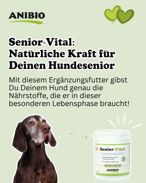 Senior-Vital für ältere Hunde